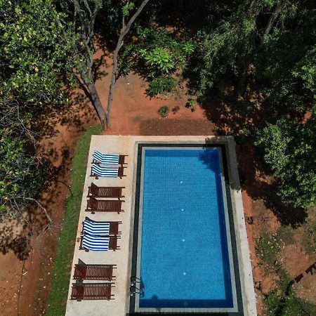 Isanka Lion Lodge سيغيرِيا المظهر الخارجي الصورة