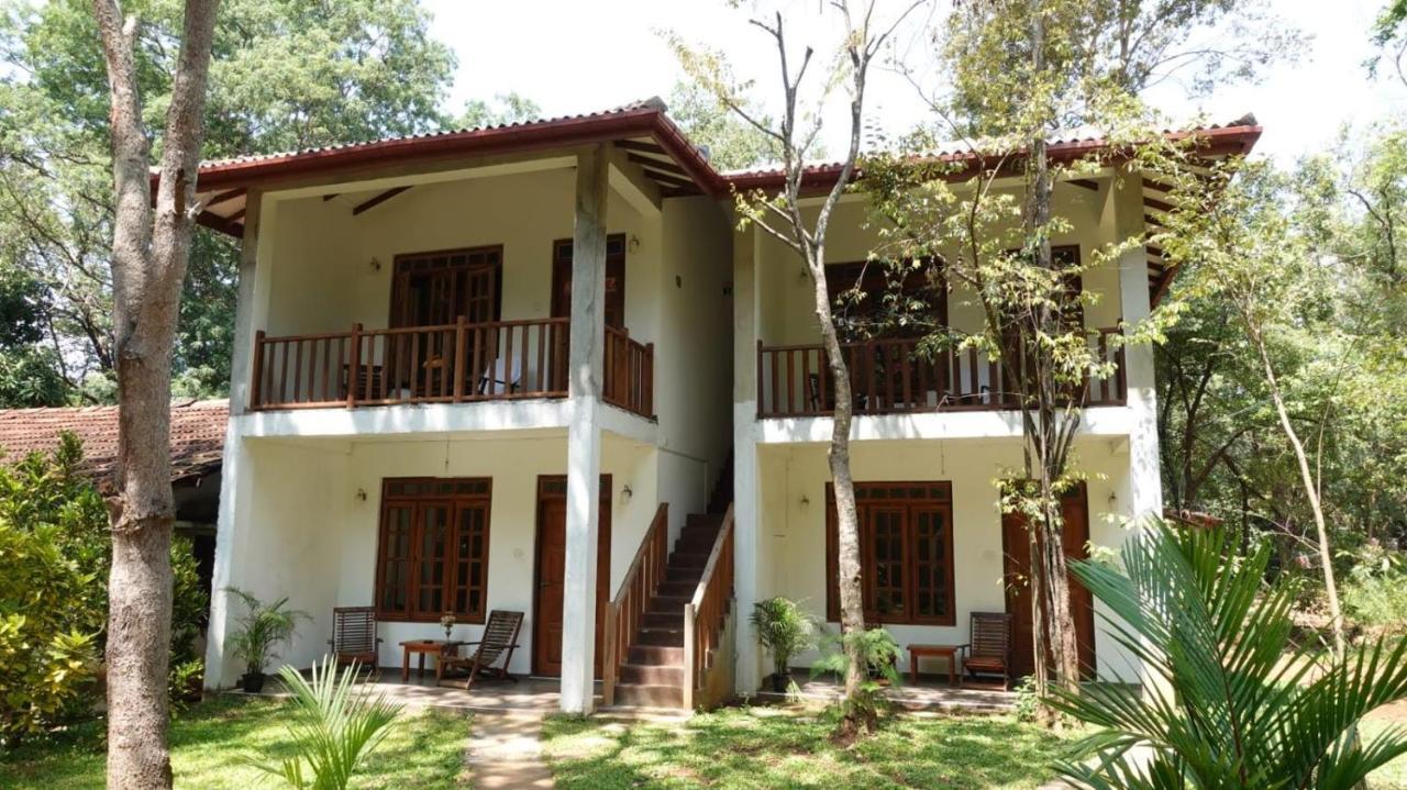 Isanka Lion Lodge سيغيرِيا المظهر الخارجي الصورة