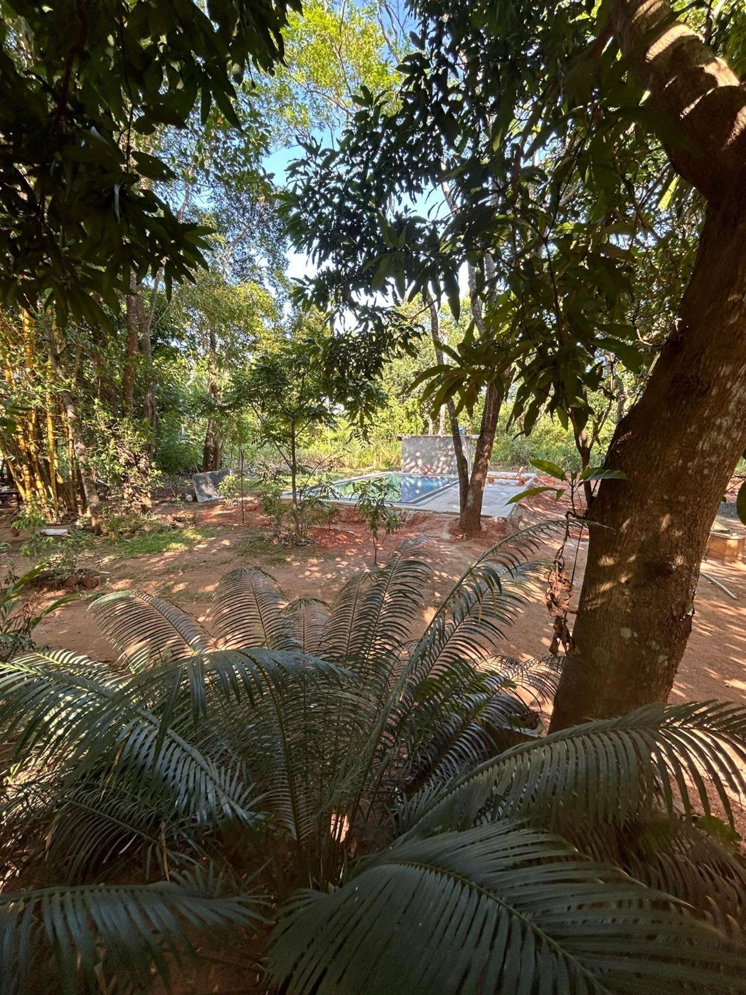 Isanka Lion Lodge سيغيرِيا المظهر الخارجي الصورة