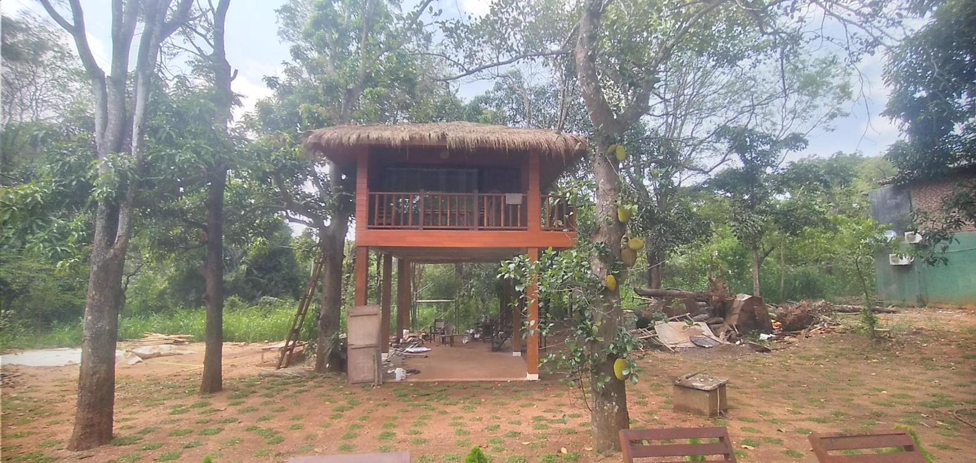Isanka Lion Lodge سيغيرِيا المظهر الخارجي الصورة
